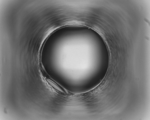 X0000098021008200804071348