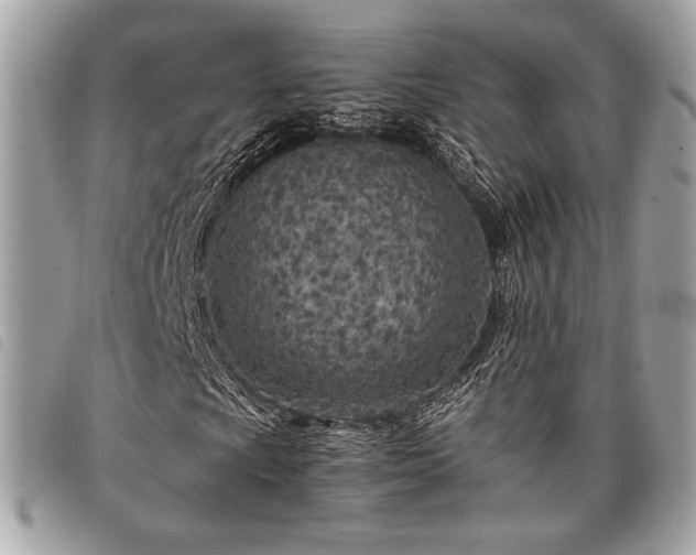 X0000098021009200804071347