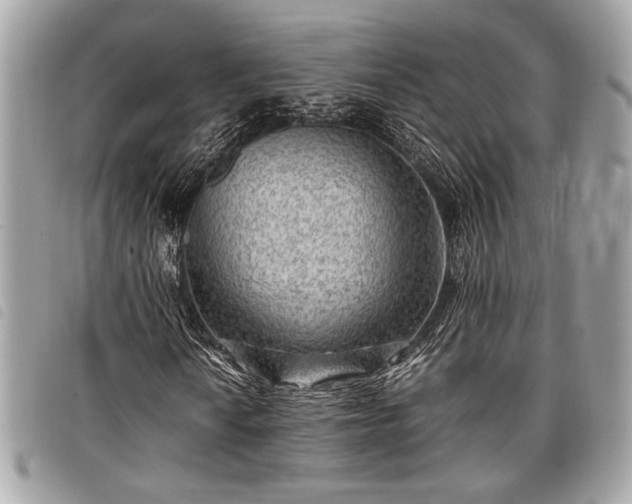 X0000098021010200804071347