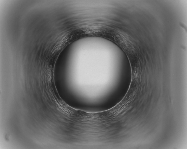 X0000098021012200804071348