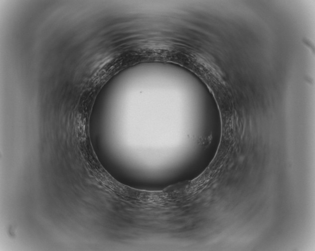 X0000098021013200804071348