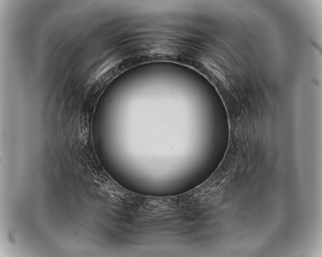 X0000098021015200804071348