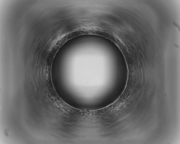 X0000098021016200804071348