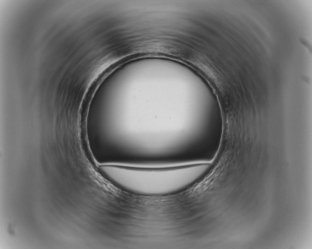 X0000098021020200804071348