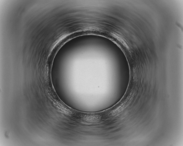 X0000098021021200804071348