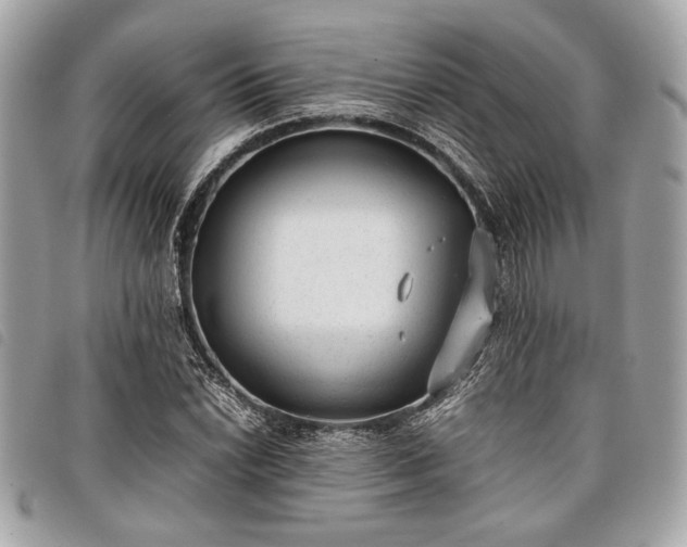 X0000098021022200804071348