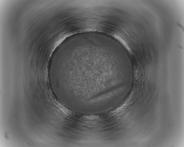 X0000098021023200804071348