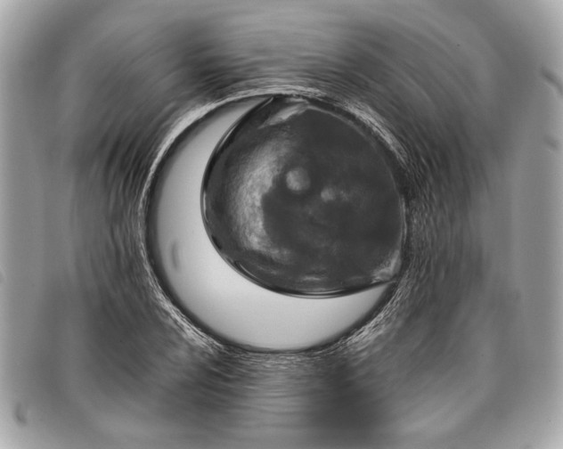 X0000098021024200804071348