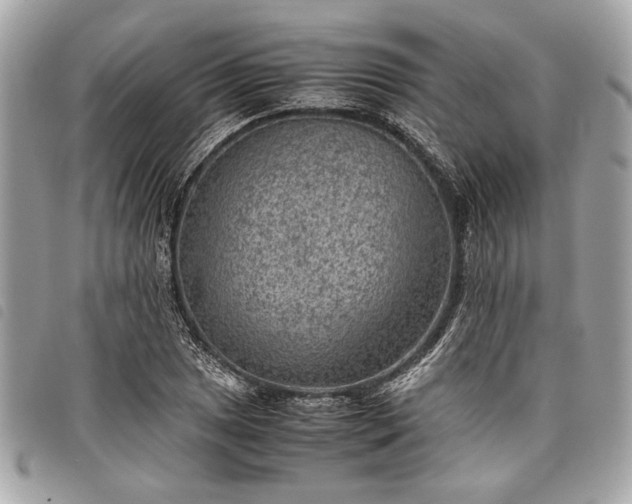 X0000098021025200804071348