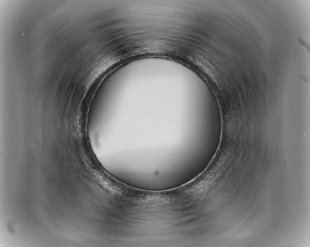 X0000098021026200804071348