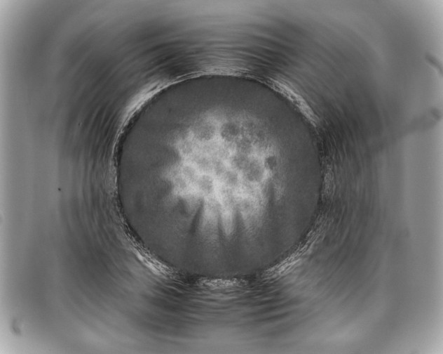 X0000098021027200804071348