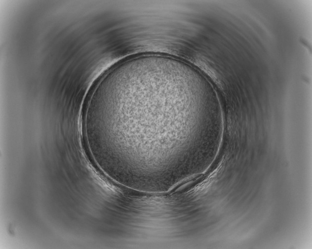 X0000098021028200804071348