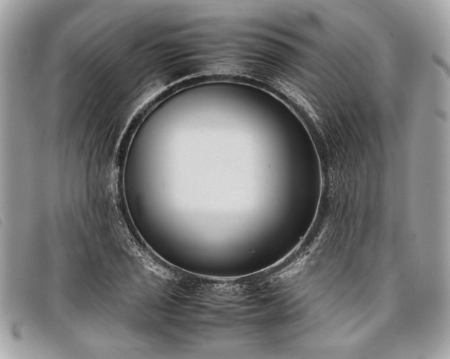 X0000098021029200804071348