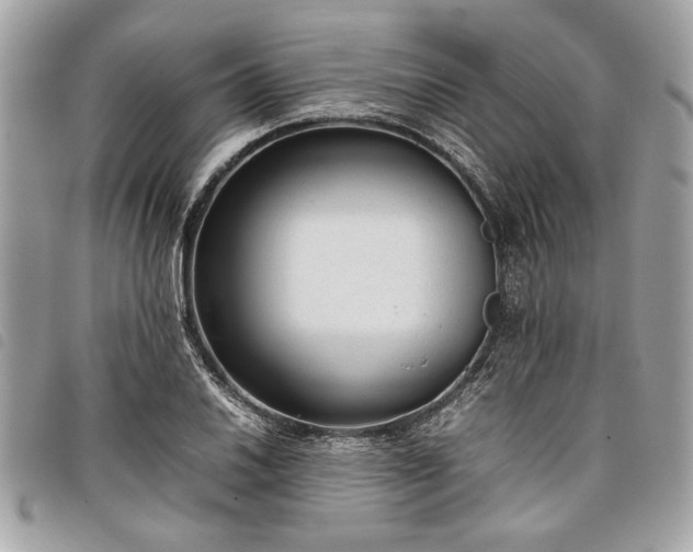 X0000098021030200804071348