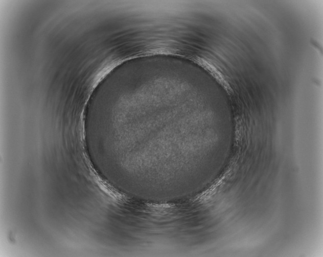 X0000098021031200804071348