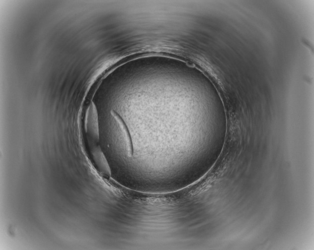 X0000098021032200804071348