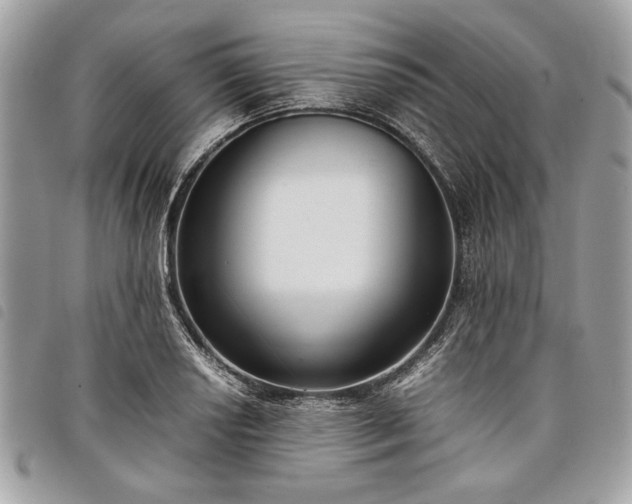 X0000098021034200804071348