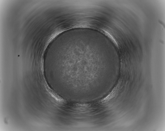 X0000098021035200804071348