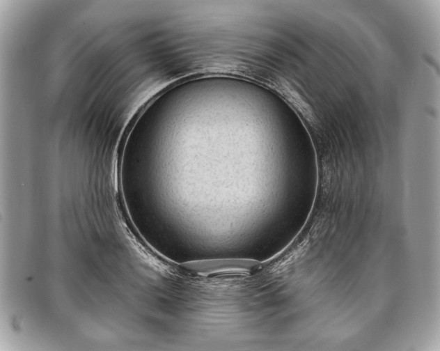 X0000098021036200804071348