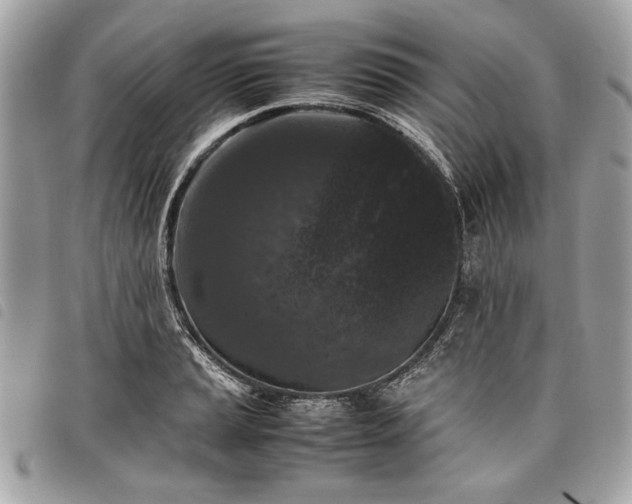 X0000098021037200804071348