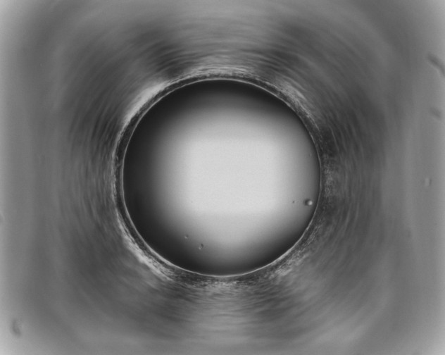 X0000098021038200804071348