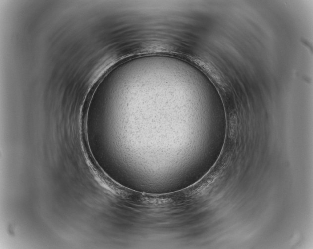 X0000098021039200804071348