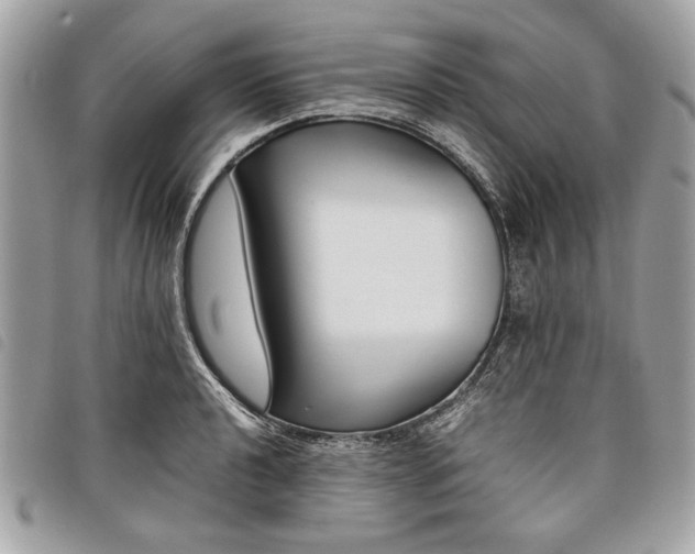 X0000098021040200804071348