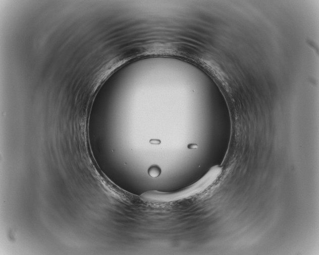 X0000098021041200804071348