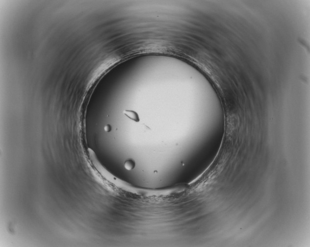 X0000098021042200804071348