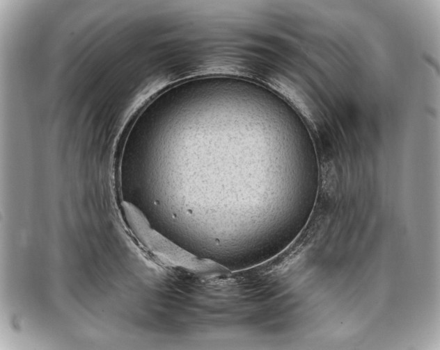 X0000098021043200804071348