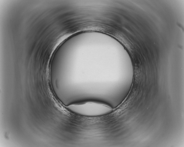 X0000098021044200804071348