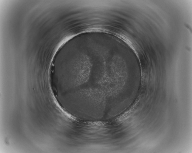 X0000098021045200804071348