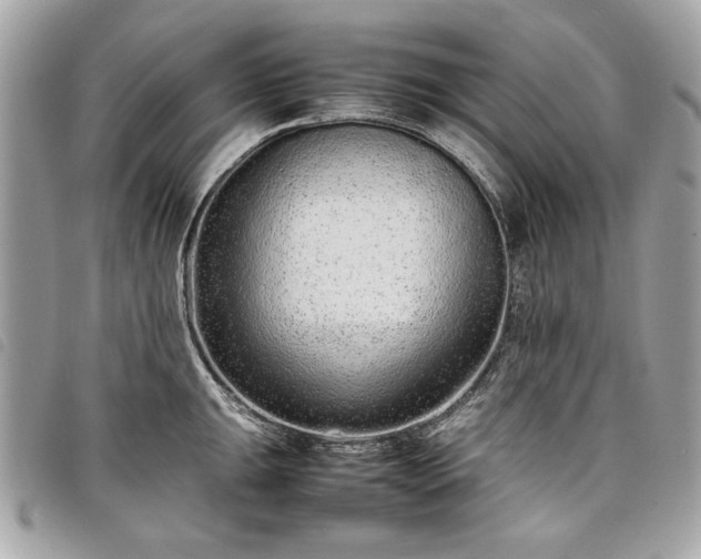 X0000098021047200804071348