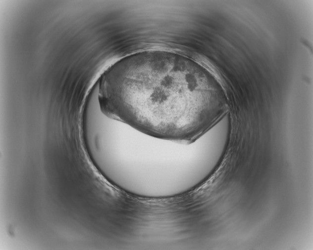 X0000098021048200804071348