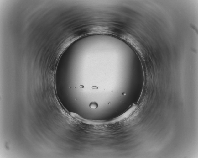 X0000098021049200804071348