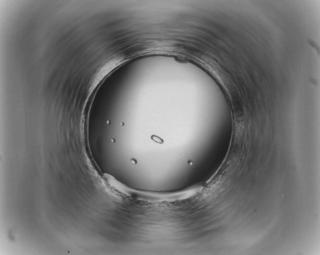 X0000098021050200804071348