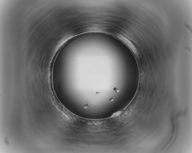 X0000098021051200804071348