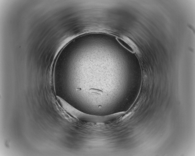 X0000098021052200804071348