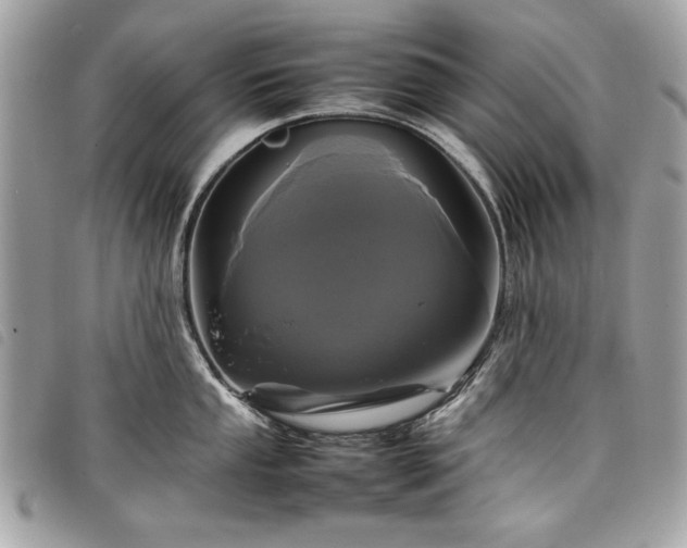 X0000098021053200804071348