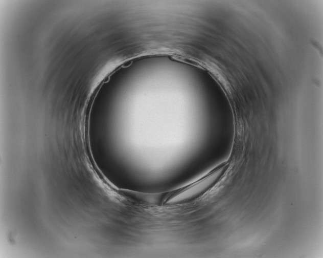 X0000098021054200804071348