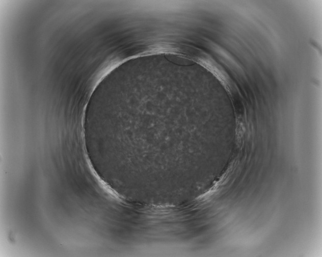 X0000098021055200804071348