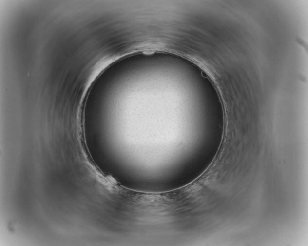 X0000098021056200804071348