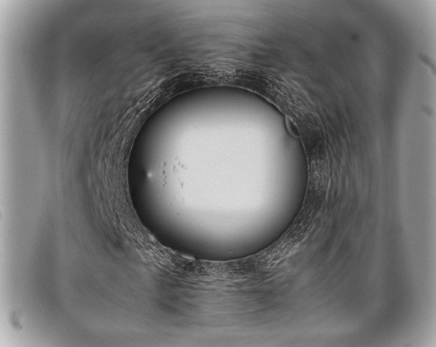 X0000098021057200804071347