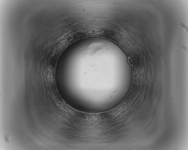 X0000098021058200804071347