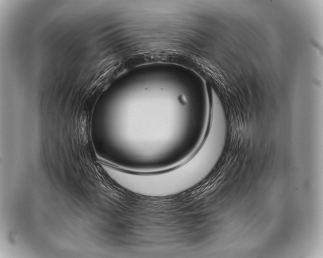 X0000098021060200804071347