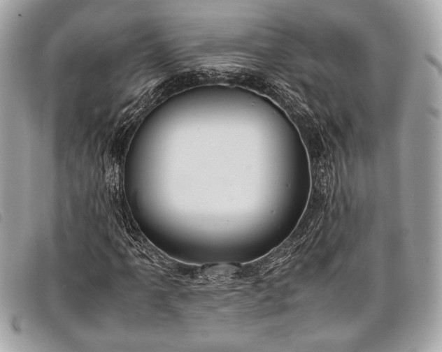 X0000098021061200804071347