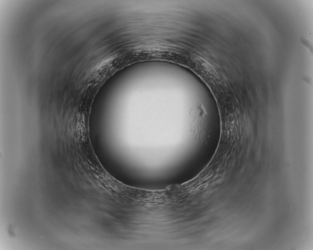 X0000098021062200804071347