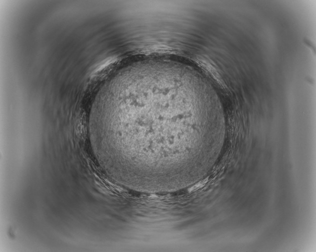 X0000098021063200804071347