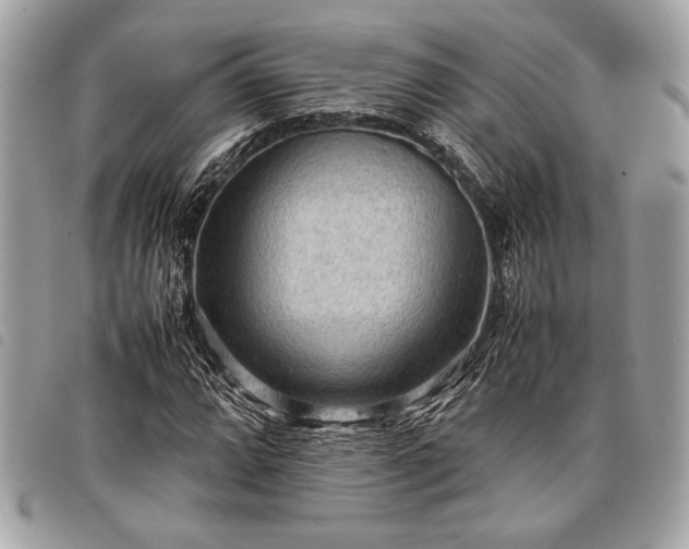 X0000098021064200804071347