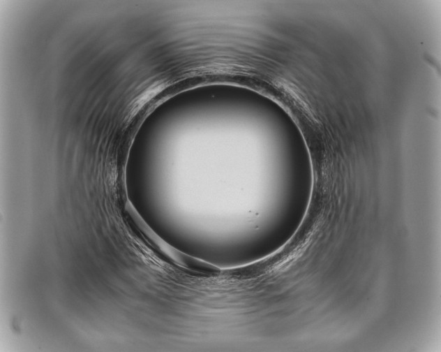 X0000098021065200804071347